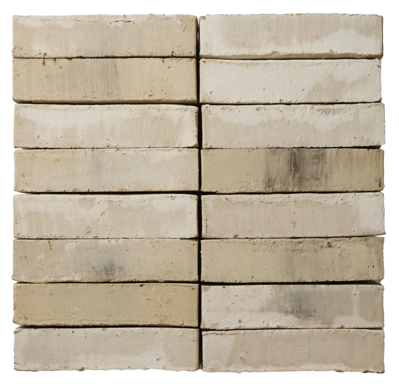 2149 WhiteCedar 4598 Samlingsbild e1723703452799 2048x1982.png